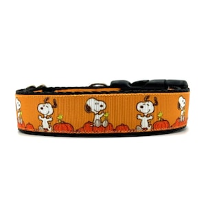 Pumpkin Beagle Dog Collar