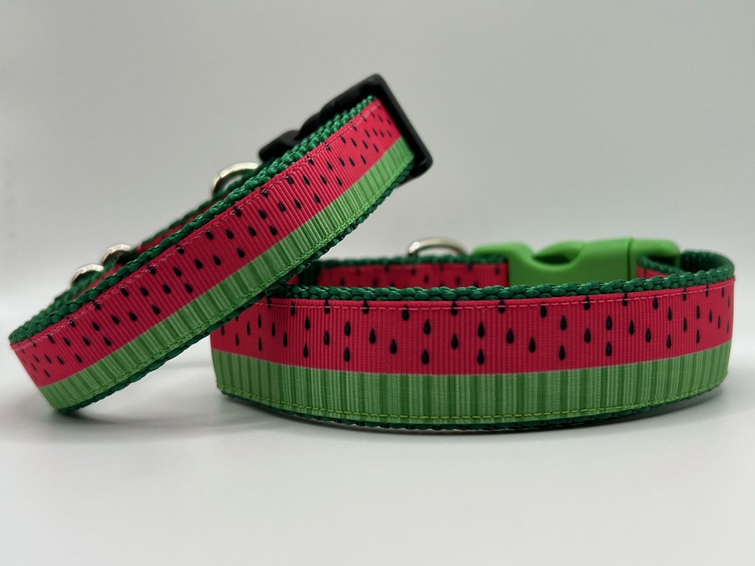 Watermelon Dog Collar Etsy