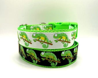 Gecko Hundehalsband