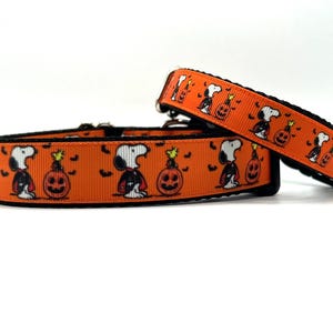 Vampire Beagle Dog Collar