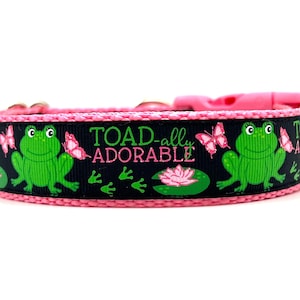 Collar para perro adorable como un sapo