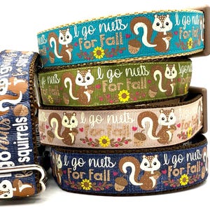 Collar para perro con nueces