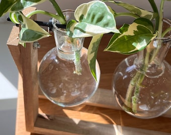 Plant propagation station, cuttings stand for plant cuttings, indoor plant decor - plant cutting vase for water propagation