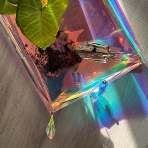 Può includere: Un vassoio da giardinaggio trasparente e iridescente con una piccola cazzuola d'argento e terra. Una pianta in vaso con foglie verdi e bianche è nell'angolo. Il vassoio è su un pavimento di legno, con la luce del sole che crea un effetto arcobaleno.