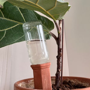 Self-watering spike for automatic watering of plants - terracotta plant watering tool, plant accessory