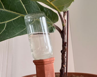 Self-watering spike for automatic watering of plants - terracotta plant watering tool, plant accessory