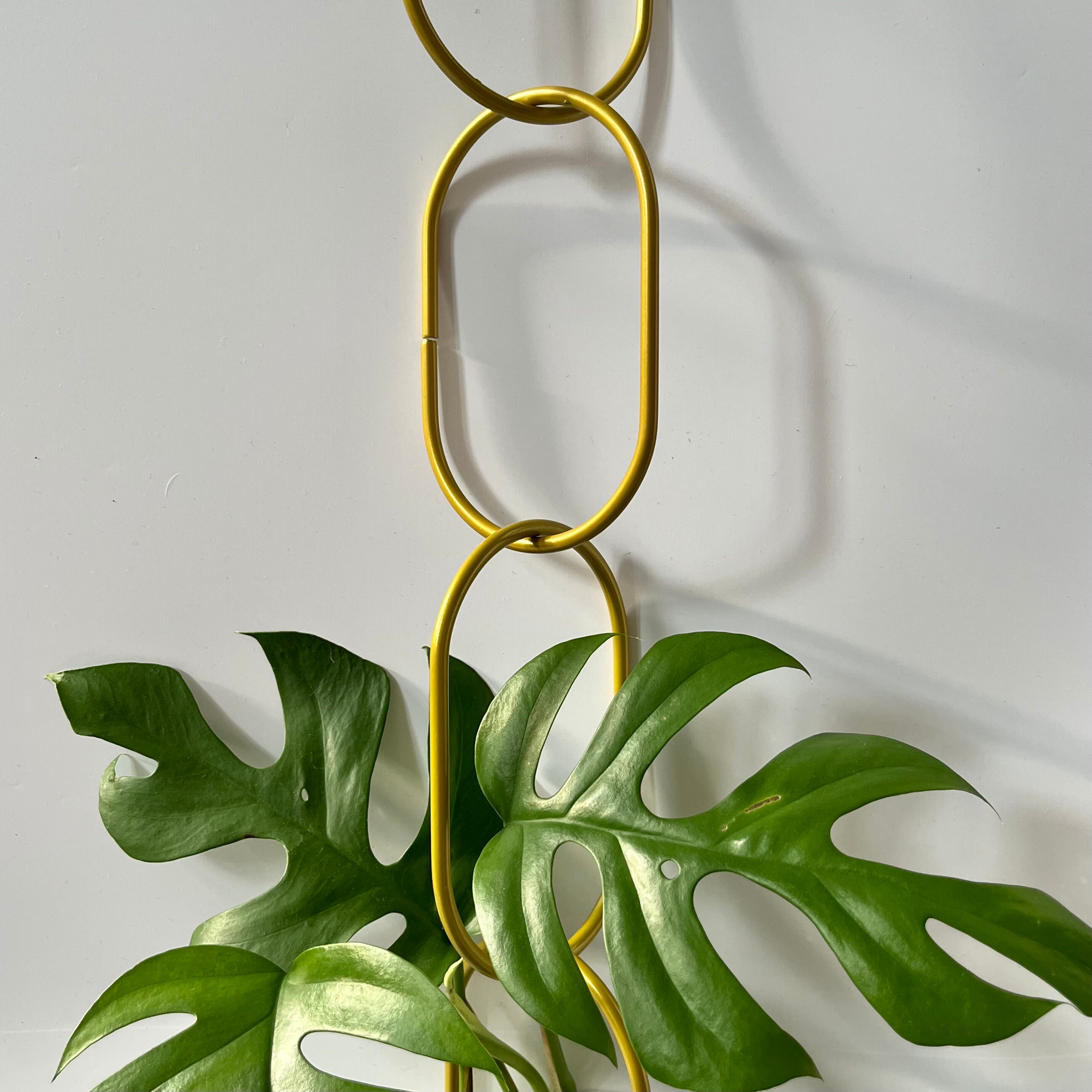 PEUTIER 18pcs Chain Trellis For Climbing Plants, Iron Climbing Plant Support Hexagon Plant Vine Support Garden Wall Trellis Plant Trellis For Indoor Outdoor Climbing Plants