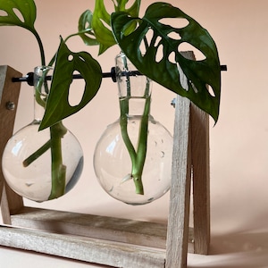 Plant propagation station, cuttings stand for plant cuttings, indoor plant decor - plant cutting vase for water propagation