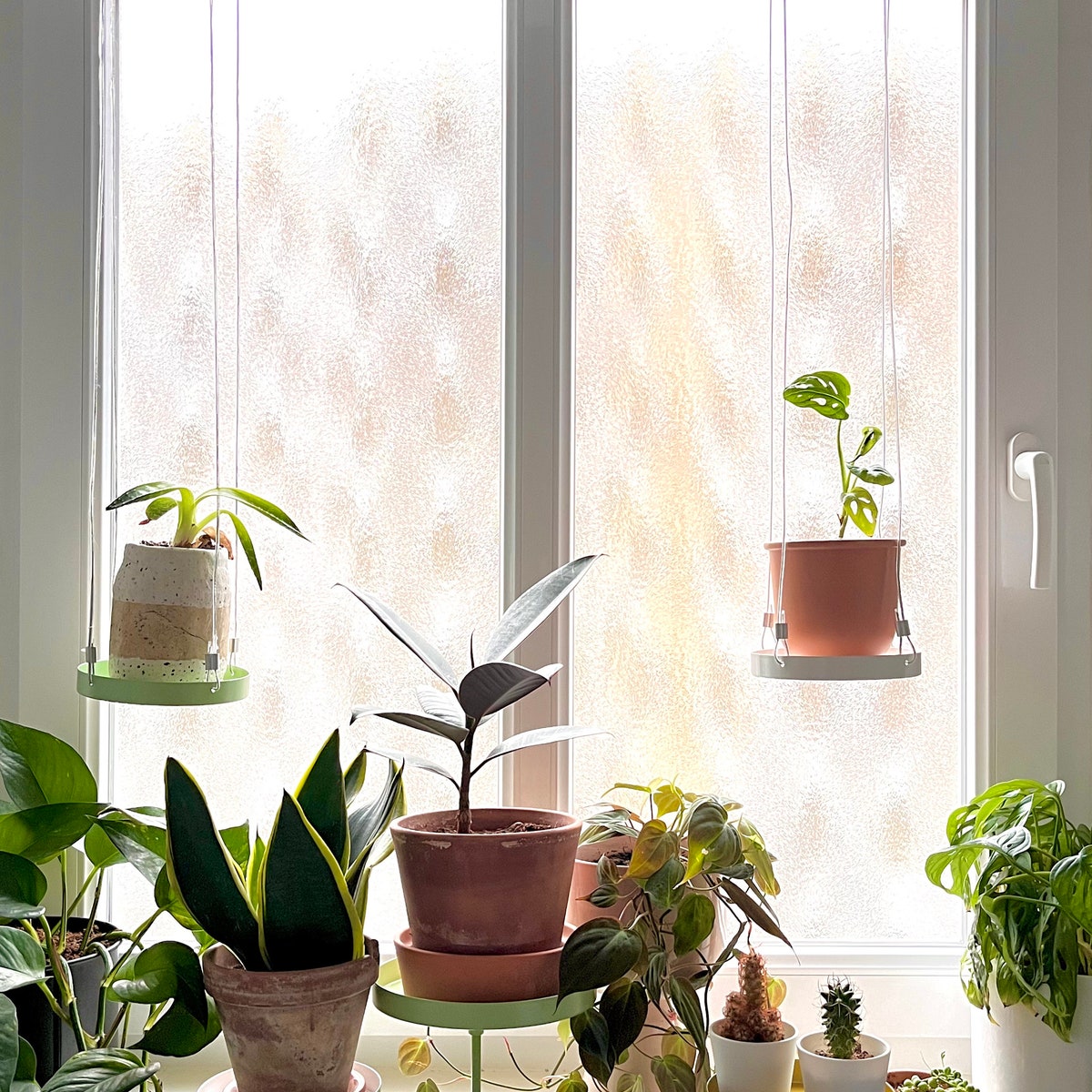 Hanging Tray for Plants, More Space for Plants, Window Decoration With Plants, Plant Display Accessory - Etsy