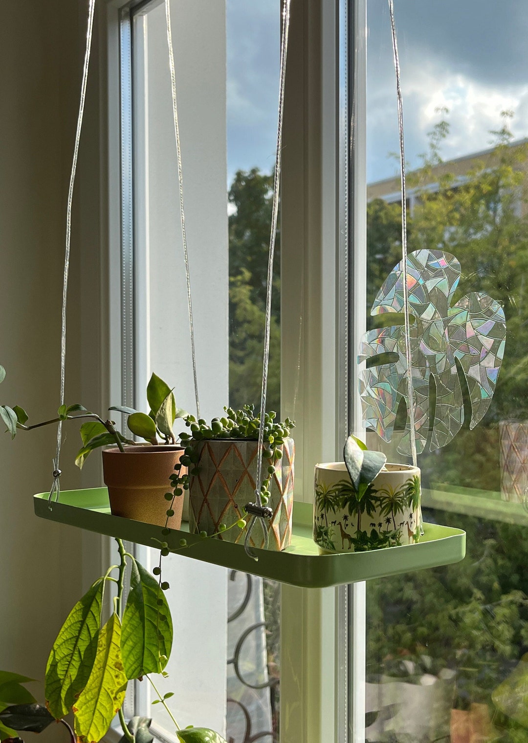 Hängeschale für Pflanzen, mehr Platz für Pflanzen, Fensterdekoration