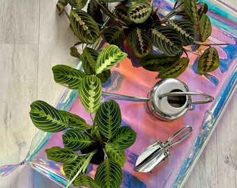 Umtopfmatte zum Umtopfen von Pflanzen, holographisch, Matte für Zimmerpflanzen und Gartenarbeit, Geschenk für Pflanzenliebhaber