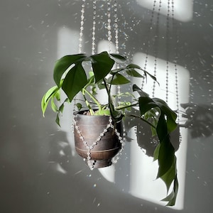 Puede incluir: Una planta colgante en una maceta marrón oscuro con una cadena de cuentas. La planta tiene hojas grandes y verdes. La maceta está suspendida del techo por una serie de hebras de cuentas. El fondo es una pared blanca lisa con luz y sombra.