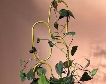 treillis de support pour plantes d'intérieur, support pour plantes grimpantes, statue de plante aux formes abstraites, accessoire de décoration pour plantes