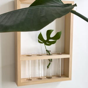 Plant propagation frame, propagation station for plant cuttings, wall decor for plant lovers, make art with plant cuttings