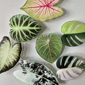 Könnte beinhalten: Eine Auswahl an dekorativen, blattförmigen Objekten in verschiedenen Farben und Mustern. Die Blätter weisen Grüntöne, Weiß und Rosa mit detaillierten Adern auf. Die Blätter sind auf einer hellen Oberfläche angeordnet.