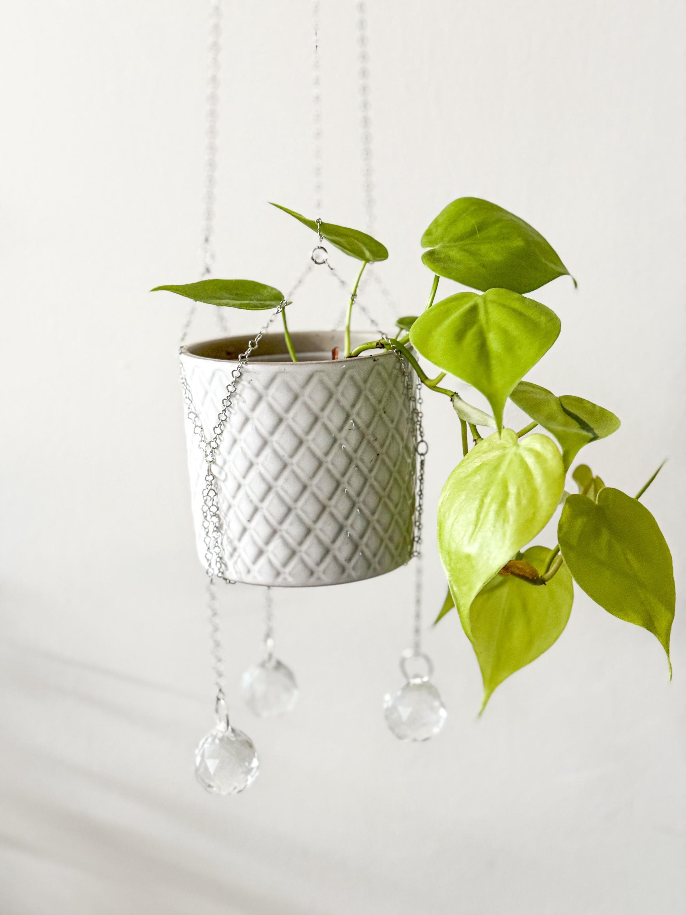 Bastone Porta Orchidee In Vetro Con Figura Di Pesce - Supporto Per Fiori Decorativo, Fatto A Mano, Lunghezza 40 Cm, Regalo Per Amanti Delle Piante
