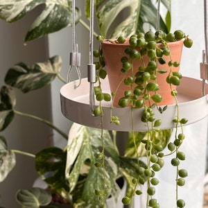 Hanging tray for plants, more space for plants, window decoration with plants, plant display accessory