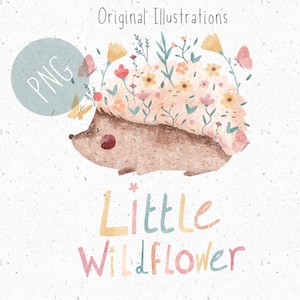 PNG para sublimação, Hedgehog PNG, png Roupas de bebê, Woodland png, Wildflower Clipart, Hedgehog Clipart, png comercial, feminino png
