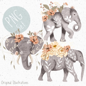 3 PNG pour sublimation Ensemble de cliparts PNG Safari mignon, bébé fille PNG, Clipart éléphant de la jungle, téléchargement PNG