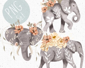 Pngs for Sublimation Elephant Clipart Cute Safari PNG Set Floral
