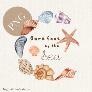 May include: Watercolor illustration featuring a collection of seashells and a starfish in shades of brown, blue, and purple. The text "Bare foot by the Sea" is written in a handwritten font. The image also includes the text "PNG" and "Original illustrations".
