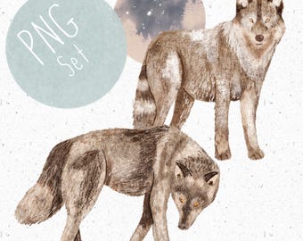2 PNGs for sublimation Wolf Clipart Bundle Wolf PNG Moon Clipart PNG wolf pack Clipart Celestial PNG Forest clipart boho png wolves Clipart