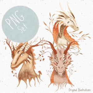 3 png&#39;s voor sublimatie schattige draak png-set jongens draak clipart mythologische draak png sprookjesachtige clipart babyjongen png fantasie sublimatie