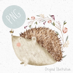 PNG para sublimação Woodland PNG Roupas de bebê Ouriço png Floral Clipart Cute Hedgehog baixar Floresta Animais Clipart Outono Clipart Outono
