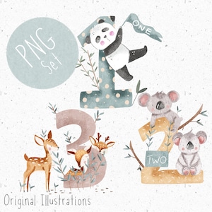 Set van 3 PNG's voor sublimatie PNG verjaardagsnummers bundel nummer clipart verjaardag png set leeftijd clipart eerste verjaardag clipart tweede verjaardag