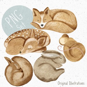 Ensemble de 5 PNG forestiers pour sublimation renard PNG forêt Clipart forêt vêtements enfant cerf png écureuil clipart animaux endormis ensemble png bébé animal clipart