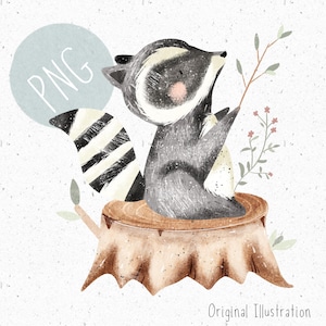Könnte beinhalten: Aquarellillustration eines Waschbären, der auf einem Baumstumpf sitzt und nach oben schaut. Der Waschbär ist grau und weiß mit einem gestreiften Schwanz. Ein Zweig mit Blättern und Blumen befindet sich rechts. Ein hellblauer Kreis mit dem Wort "PNG" befindet sich oben links. Die Worte "Original Illustration" stehen unten.