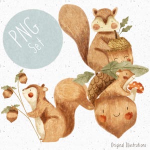 Set of 3 Squirrel PNGs for Sublimation Fall PNG Set Acorn Clipart Autumn PNG Bundle Cute Squirrel Clipart Forest png Woodland animal set