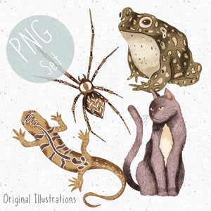 4 PNG for sublimation Animal Clipart Bundle Halloween PNG Set Toad Clipart Cat PNG Spooky Clipart Spider png Kid Halloween Gothic png Lizard