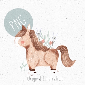 PNG for Sublimation Horse PNG Cute Horse Clipart Horse girl Graphic Floral Horse Clipart Commercial Shetland Pony PNG mini horse Clipart