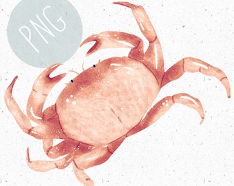 PNG for Sublimation Crab PNG Nautical Clipart Sea Animals PNG Underwater Clipart Fishing Clipart Crab Graphic Crab Download Nautical Nursery