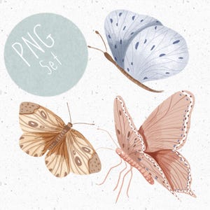 Conjunto de 3 PNG para sublimación, imágenes prediseñadas de mariposas para niñas, imágenes prediseñadas de insectos, imágenes prediseñadas de mariposas pastel, imágenes prediseñadas de niña, imágenes prediseñadas de insectos lindos, imágenes prediseñadas de rosa