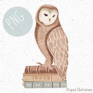 Coruja PNG para Sublimação Coruja Clipart Crianças Floresta PNG Leitura Clipart Livros PNG Outono Fantasia Clipart Assistente Gráfico Floresta Animais png pássaro