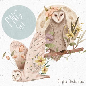 2 Eule PNG Set für Sublimation Wald Clipart Eule png Waldtiere Clipart niedliche Eulen PNG Sterne Clipart Mond png Messenger Eule Clipart