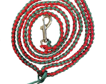 Laisse pour chien tressée Paracord