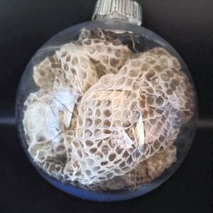 May include: A clear, spherical glass ornament filled with a textured, beige and brown snakeskin shed. The ornament features a silver-toned metal cap at the top with a small loop for hanging, showcasing the intricate, honeycomb-like scale pattern.