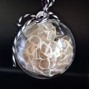 May include: A clear spherical glass ornament filled with a textured, off-white snake shed. The ornament is suspended by a thin purple wire and features a decorative black and white twisted cord tied in a bow at the top of the glass sphere.