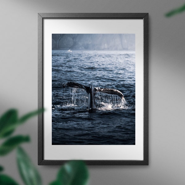 Tirage photographique haute qualité Hahnemühle, Iceland Landscape, Icelandic Whale, Whale Photography, Iceland Wall Art