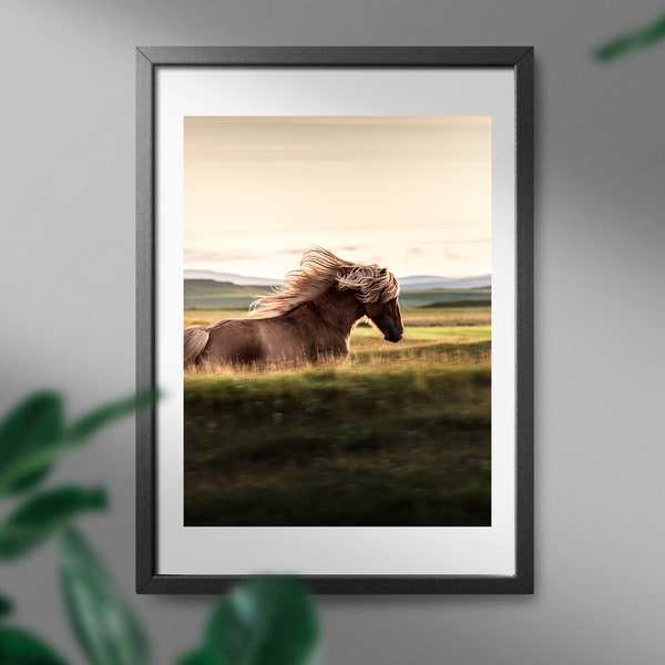 Iceland Landscape, Icelandic Horse Print, Horse Photography, Iceland Wall Art, Large Horse Poster, Iceland Travel Print