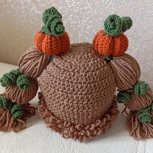 Puede incluir: Un sombrero de ganchillo hecho a mano en color marrón, con dos calabazas naranjas con tallos verdes. El sombrero tiene detalles de hilo marrón y un borde decorativo, perfecto para otoño o Halloween.