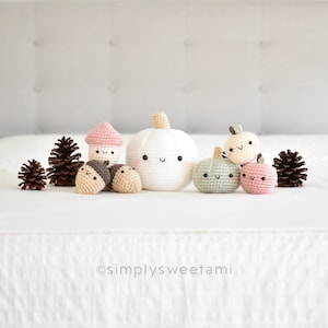Autumn Friends Amigurumi Crochet Pattern