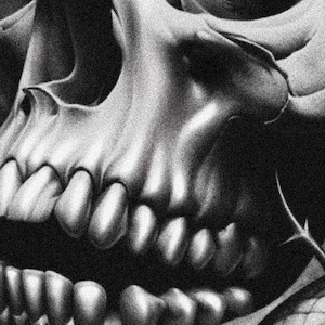Pu&ograve; includere: Un primo piano di un disegno dettagliato in bianco e nero di un teschio umano con i denti.