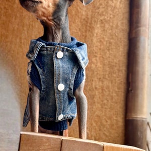 Veste en jean pour chien Option de nom personnalisé incluse Tailles XXS / XS / S /M / L image 2