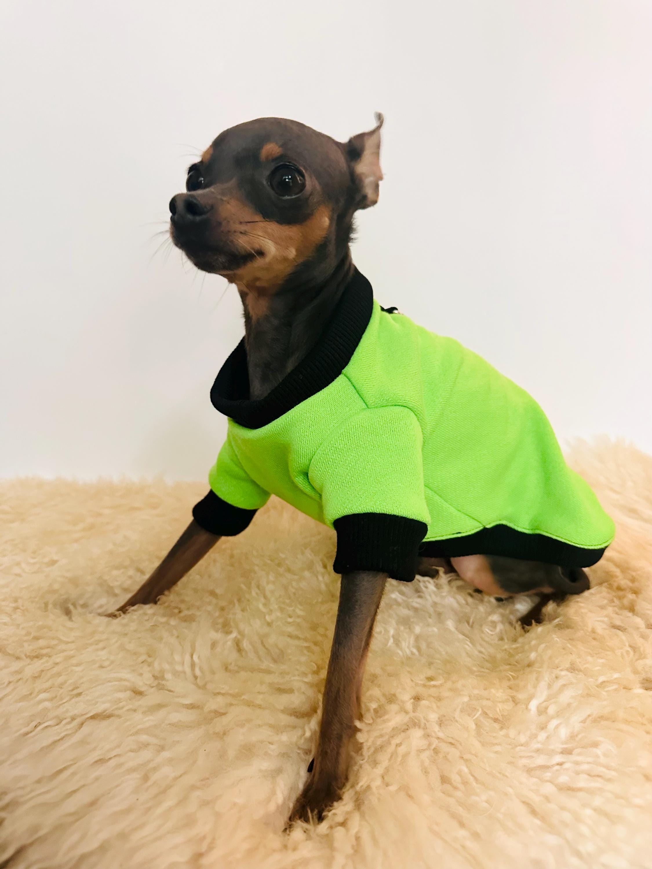 XXS | XS Cosy cotton sweatshirt for small dogs and puppies in fluorescent green for dogs around 1.7-2.5 kg