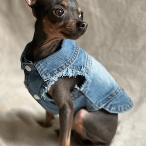 Stylish XXS/XS/S Dog Denim Biker Cool Coat Jacket for Tiny Breeds like Chihuahua, Yorkie, Mini Poodle, etc