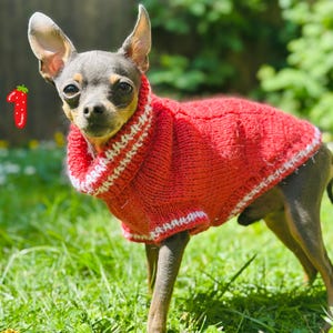 Hand knit Merino alpaca wool blend sweaters for Small Breeds XXS, XS, S (around 1.8kg-4 kg/ 4-9lb) Strawberry red